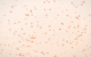 Peach Fuzz Cherries Dense II — light orange and white cute background, variation II