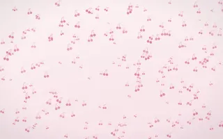 Rosewater Cherries Dense II — light pink and white cute background, variation II