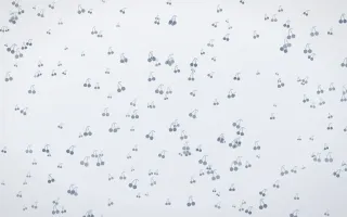 Slate Mist Cherries Dense III — light blue and white cute background, variation III