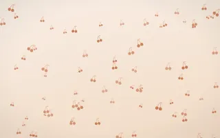 Terracotta Cherries — light orange and beige cute background