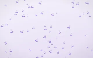 Wisteria Cherries — light purple and white cute background