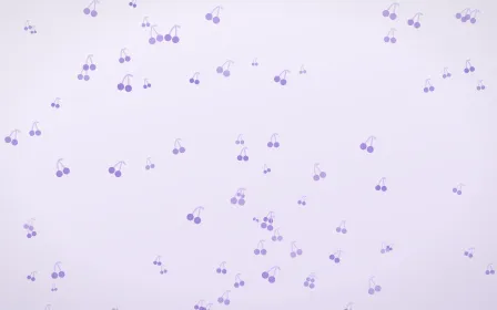 Wisteria Cherries — light purple and white cute background