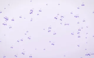 Wisteria Cherries II — light purple and white cute background, variation II