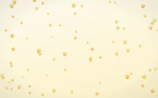 Buttercream Paws — light gold, yellow and white cute background