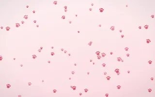 Cherry Soda Paws — light red and white cute background