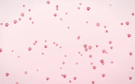 Cherry Soda Paws — light red and white cute background