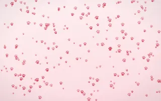Cherry Soda Paws Dense III — light red and white cute background, variation III
