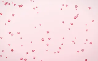 Cherry Soda Paws III — light red and white cute background, variation III