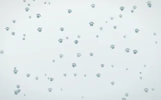 Coastal Fog Paws — light blue and white cute background