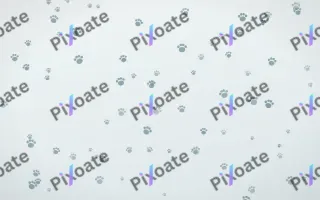 Coastal Fog Paws — light blue and white cute background