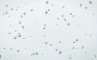 Coastal Fog Paws II — light blue and white cute background, variation II
