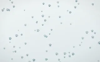 Coastal Fog Paws III — light blue and white cute background, variation III