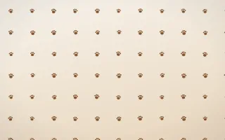 Cocoa Paws — light brown, orange and white cute background