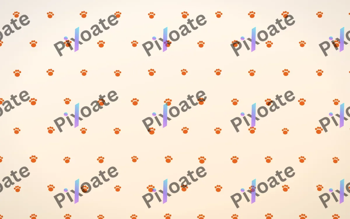 Coral Paws — light orange and white cute background