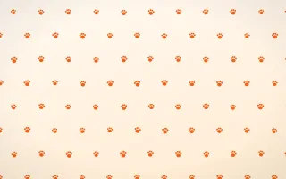 Coral Paws — light orange and white cute background