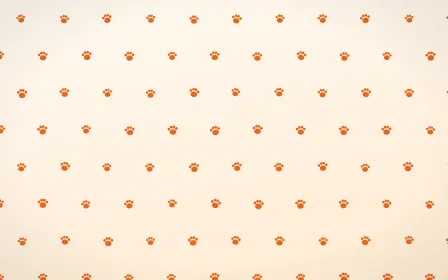 Coral Paws — light orange and white cute background