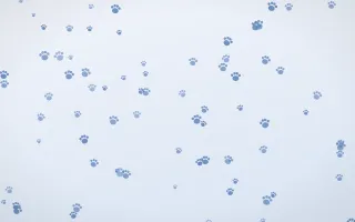 Denim Day Paws — light blue and white cute background