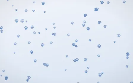 Denim Day Paws — light blue and white cute background