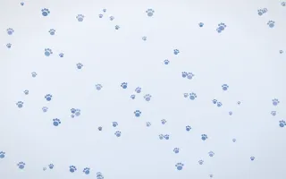 Denim Day Paws II — light blue and white cute background, variation II