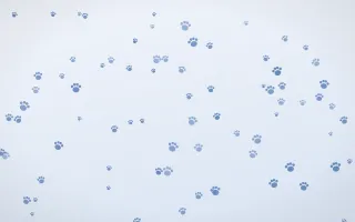 Denim Day Paws III — light blue and white cute background, variation III