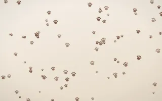 Espresso Paws — light brown, orange and beige cute background