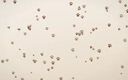 Espresso Paws — light brown, orange and beige cute background