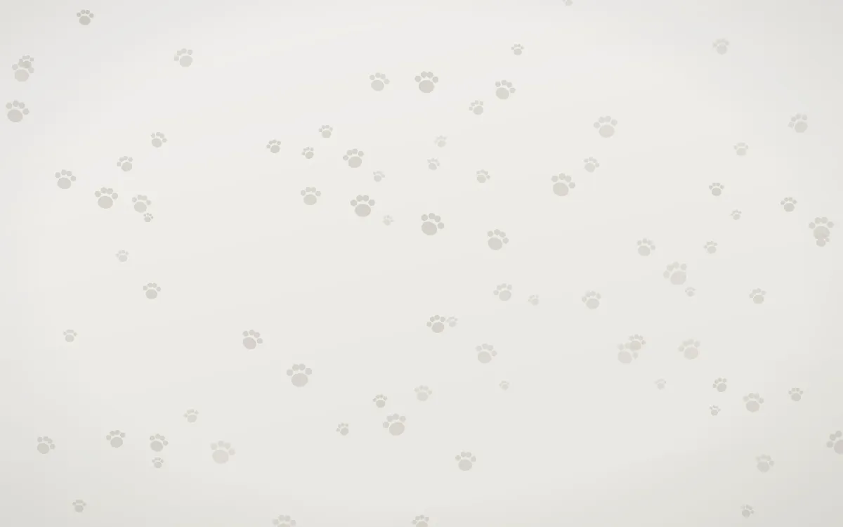 Fogline Paws — light grey, orange and white cute background