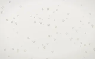 Fogline Paws — light grey, orange and white cute background