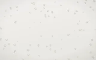 Fogline Paws II — light grey, orange and white cute background, variation II