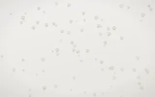 Fogline Paws III — light grey, orange and white cute background, variation III