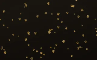 Golden Noir Paws — dark gold, yellow and black cute background