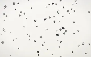 Inkline Paws III — light grey and white cute background, variation III