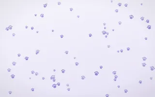 Lilac Frost Paws — light blue and white cute background