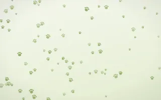 Matcha Latte Paws — light green and white cute background
