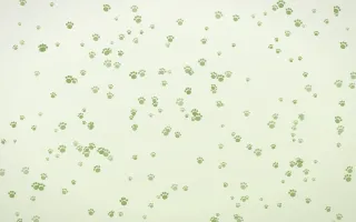 Matcha Latte Paws Dense — light green and white cute background
