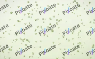 Matcha Latte Paws Dense — light green and white cute background