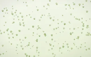 Matcha Latte Paws Dense II — light green and white cute background, variation II