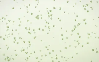 Matcha Latte Paws Dense III — light green and white cute background, variation III