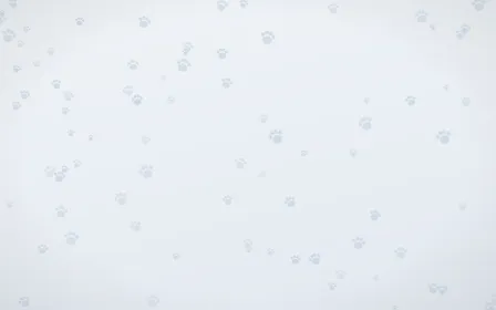 Mist Blue Paws — light blue and white cute background