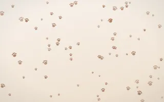 Mocha Milk Paws — light orange and white cute background