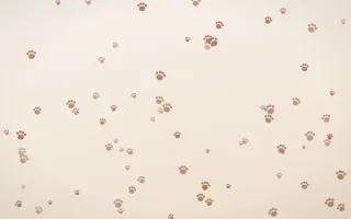 Mocha Milk Paws II — light orange and white cute background, variation II
