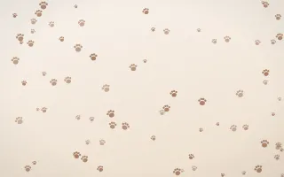 Mocha Milk Paws III — light orange and white cute background, variation III