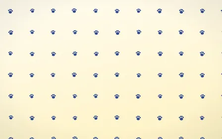 Navy Cream Paws — light blue and white cute background