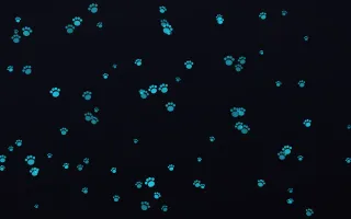 Neonline Paws II — dark teal, pink and black cute background, variation II