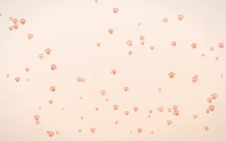 Peach Fuzz Paws — light orange and white cute background