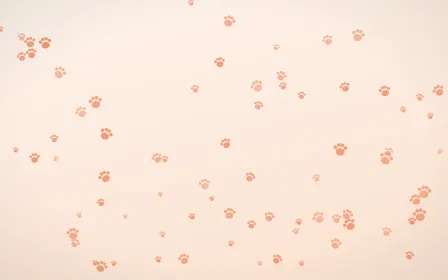 Peach Fuzz Paws — light orange and white cute background