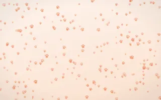 Peach Fuzz Paws Dense — light orange and white cute background