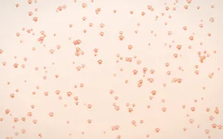 Peach Fuzz Paws Dense III — light orange and white cute background, variation III