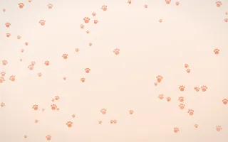 Peach Fuzz Paws II — light orange and white cute background, variation II
