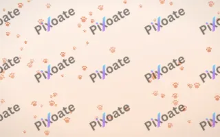 Peach Fuzz Paws II — light orange and white cute background, variation II